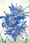 Blue Flowers by Lieve Goeman