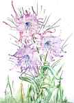 Lilac Flowers by Lieve Goeman