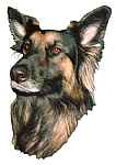 Janette Shead Encaustic Artist - Tessa - a German Shepherd in photo realistic wax colour - a commission