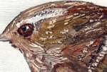 Janette Shead Encaustic Artist - wren - head detail