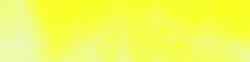 995350 39 Neon Yellow