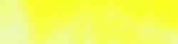 995350 39 Neon Yellow